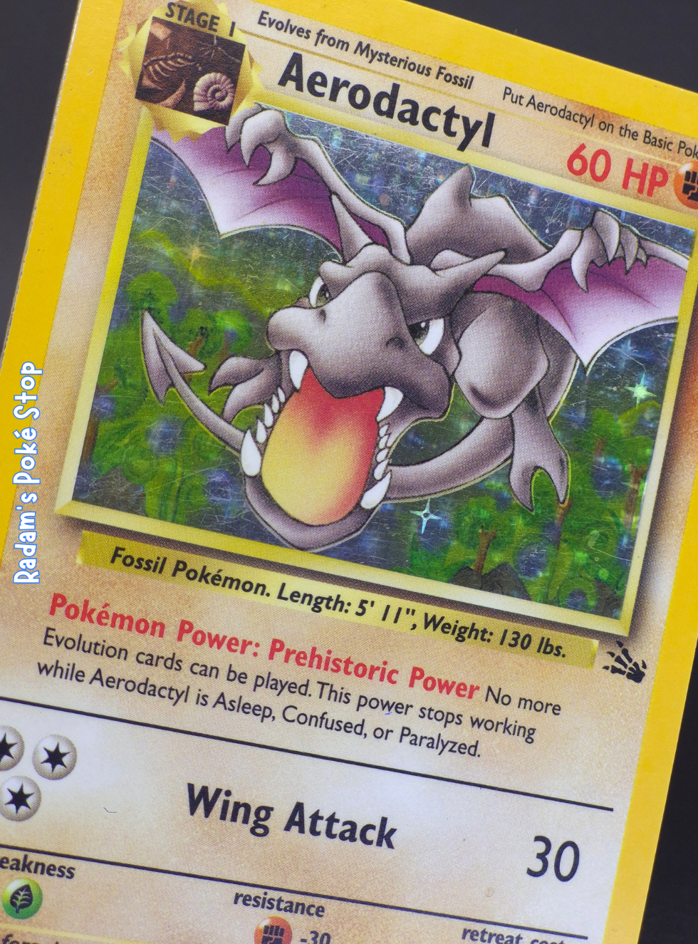 Fossil 1_62 Aerodactyl (2).png