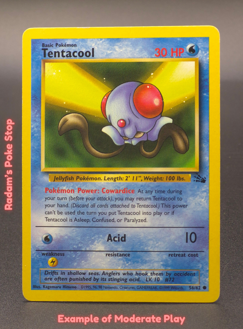 MP Tentacool.png