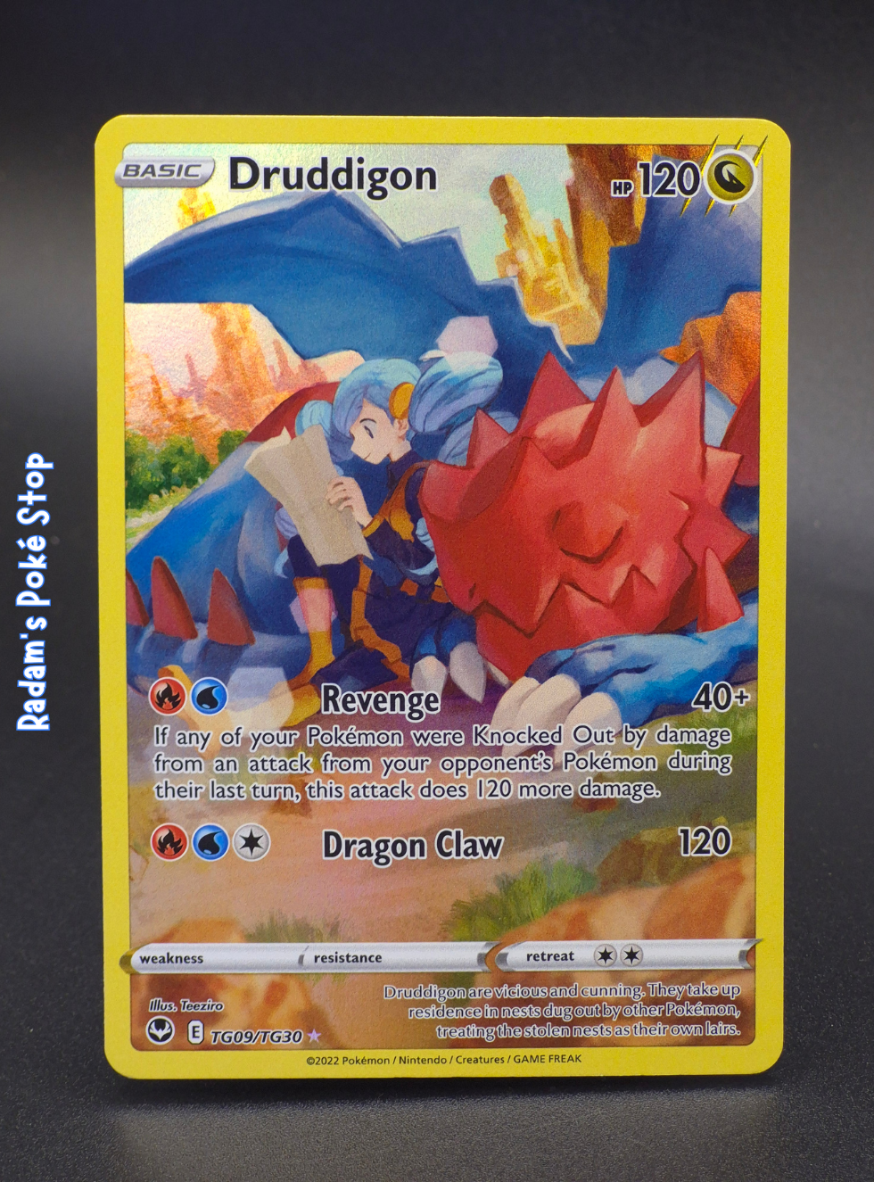 ST TG09_TG30 Druddigon.png