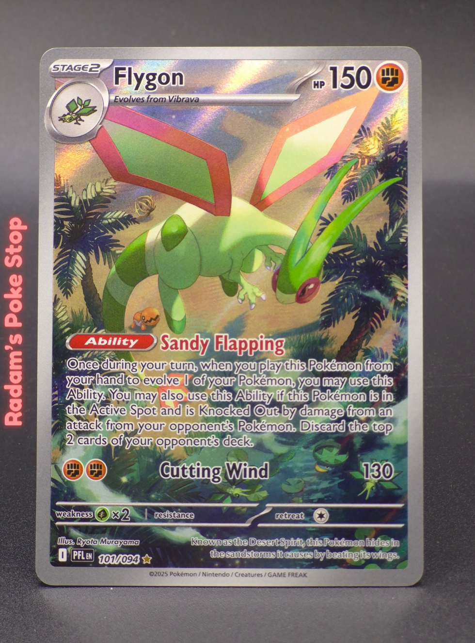 PFL 101_094 flygon.png