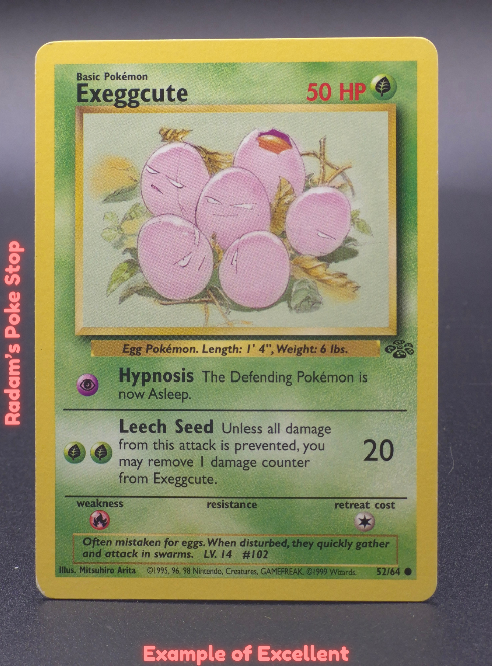 EX exeggcute.png