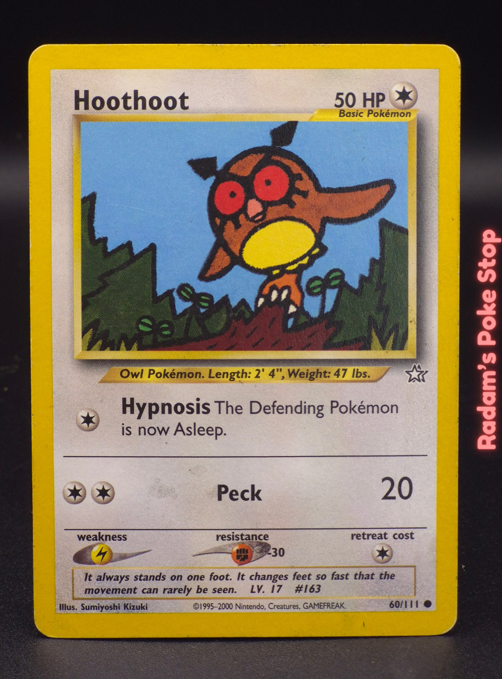 neo g 60_111 hoothoot.png