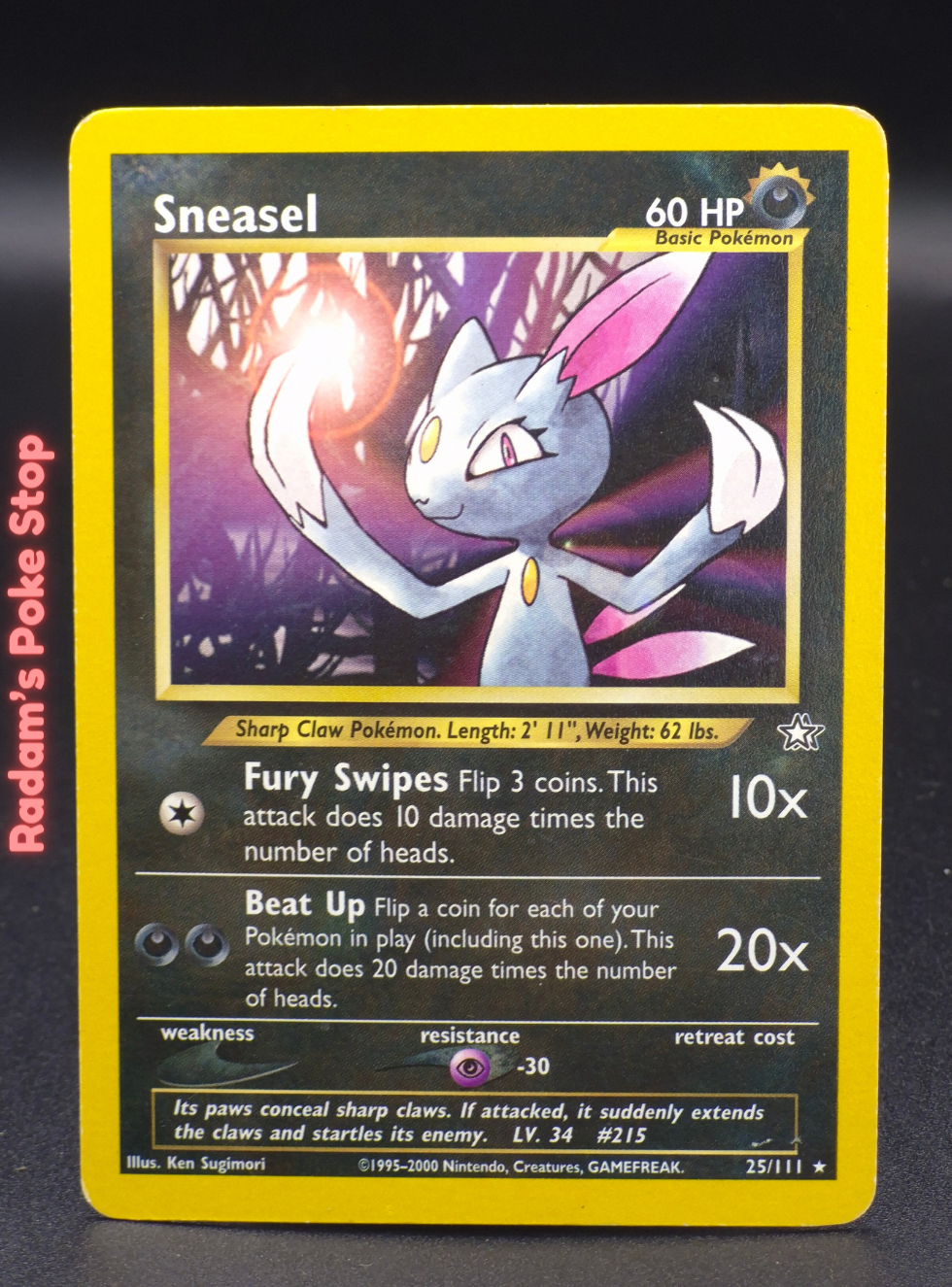 neo g 25_111 sneasel.png