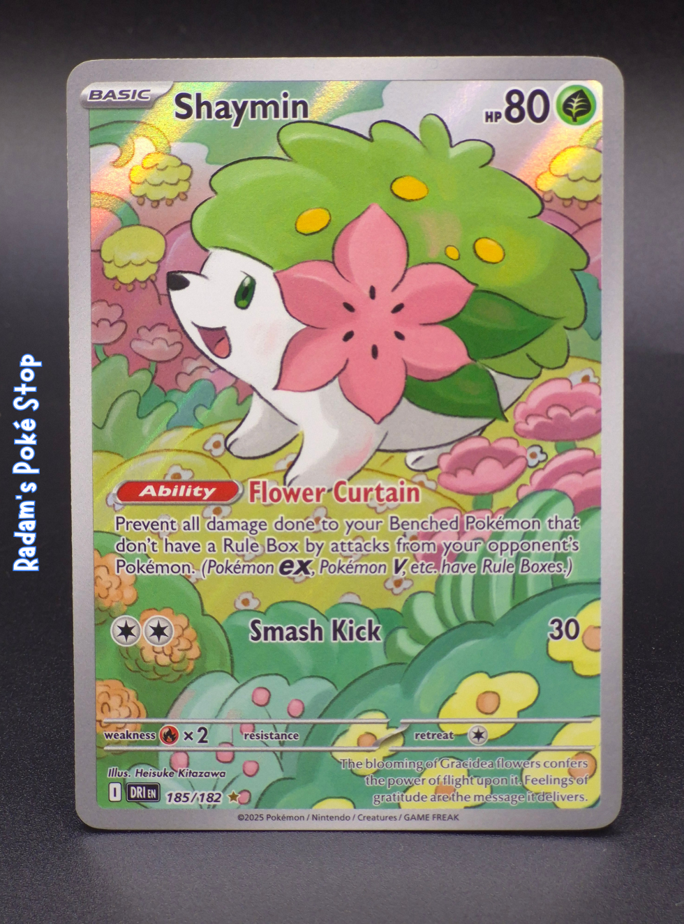 DRI 185_182 Shaymin.png