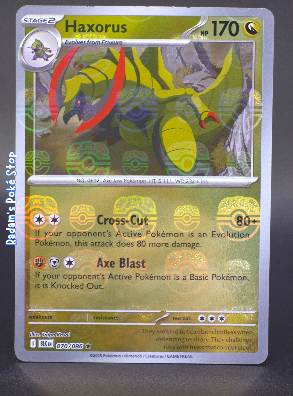 Haxorus Master Ball #070  Black Bolt