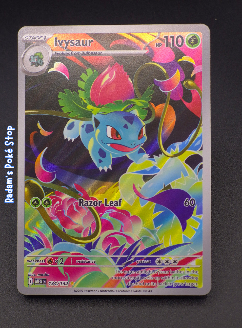 Ivysaur #134 IR Mega Evolutions