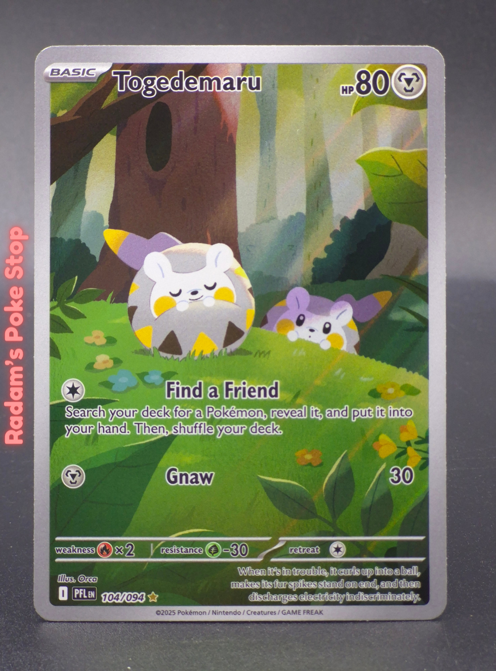 PFL 104_094 togedemaru.png