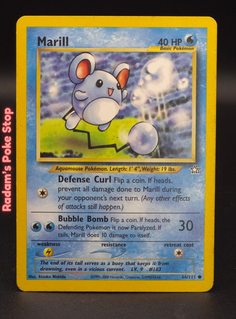 neo g 66_111 marill (3).png