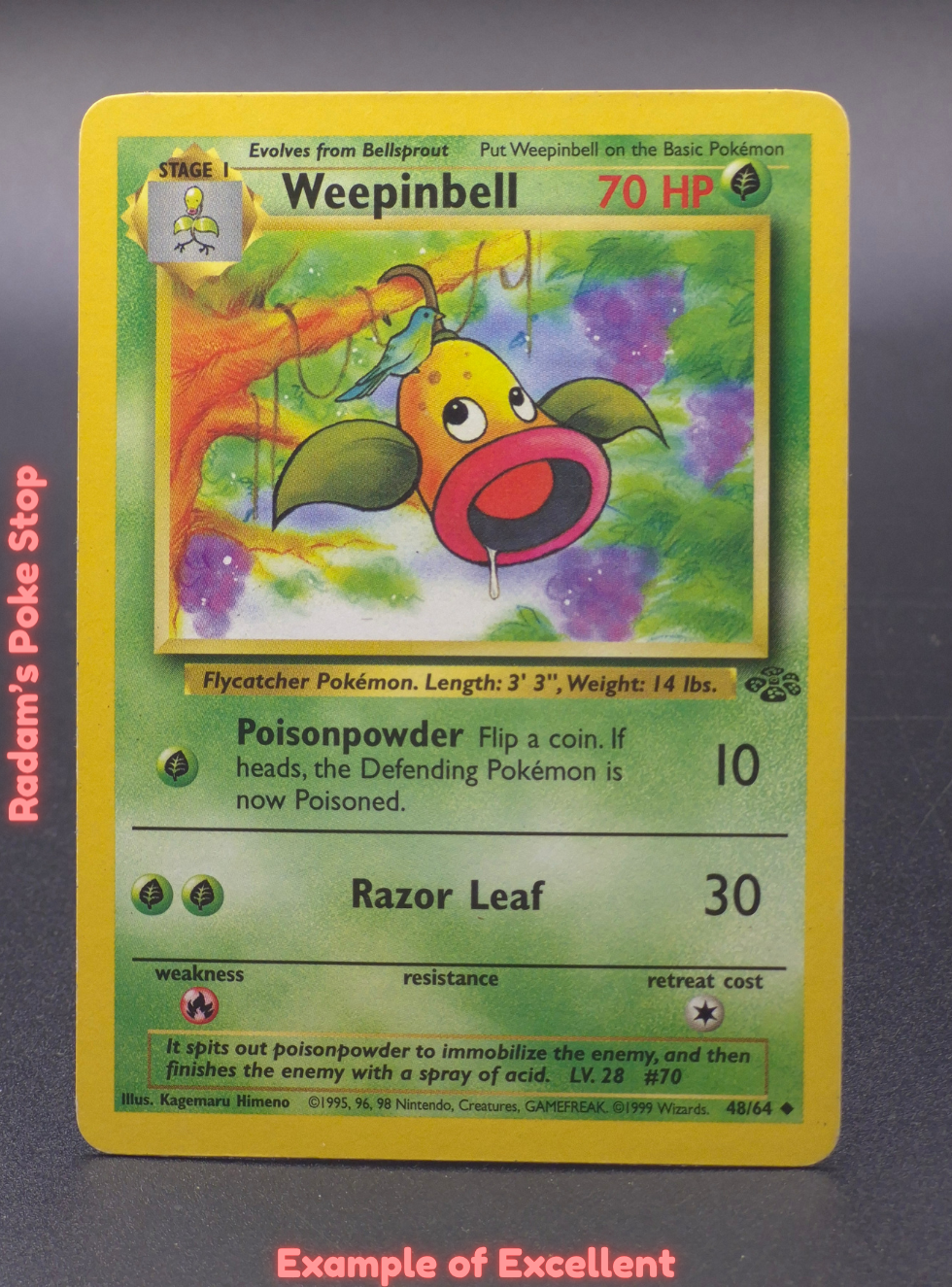 EX Weepinbell.png