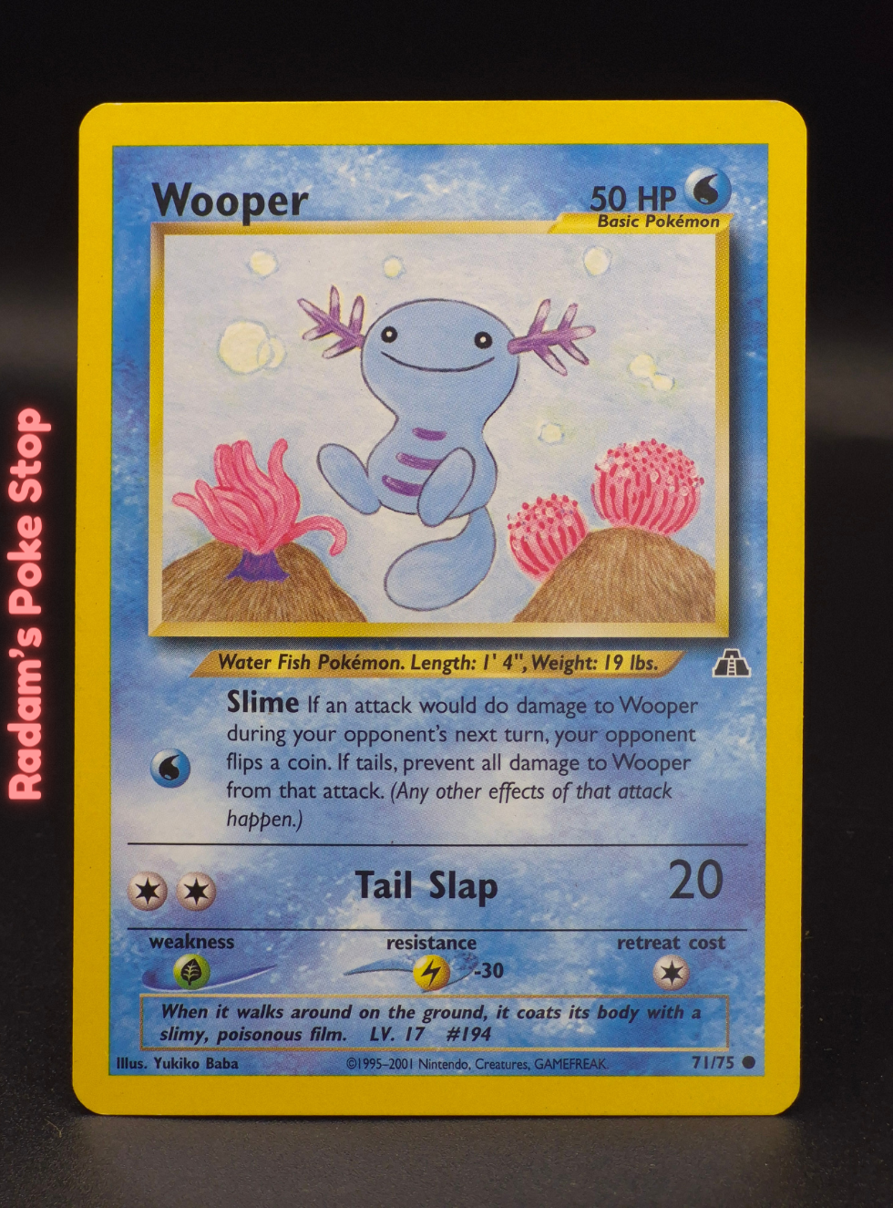 neo d 71_75 wooper (3).png
