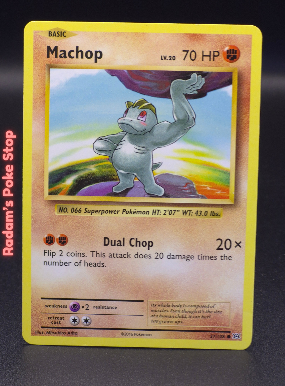 xy evo 57_108 machop.png