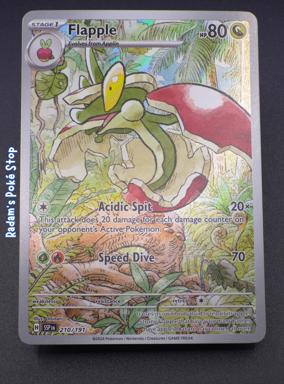 SSP 210_191 Flapple (3).png