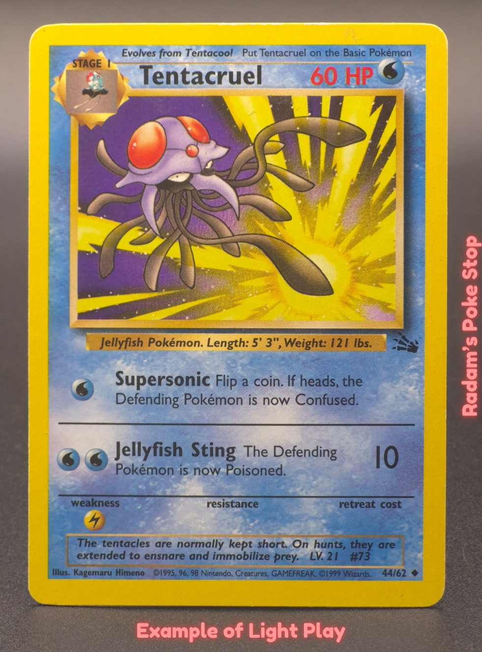 LP Tentacruel.png