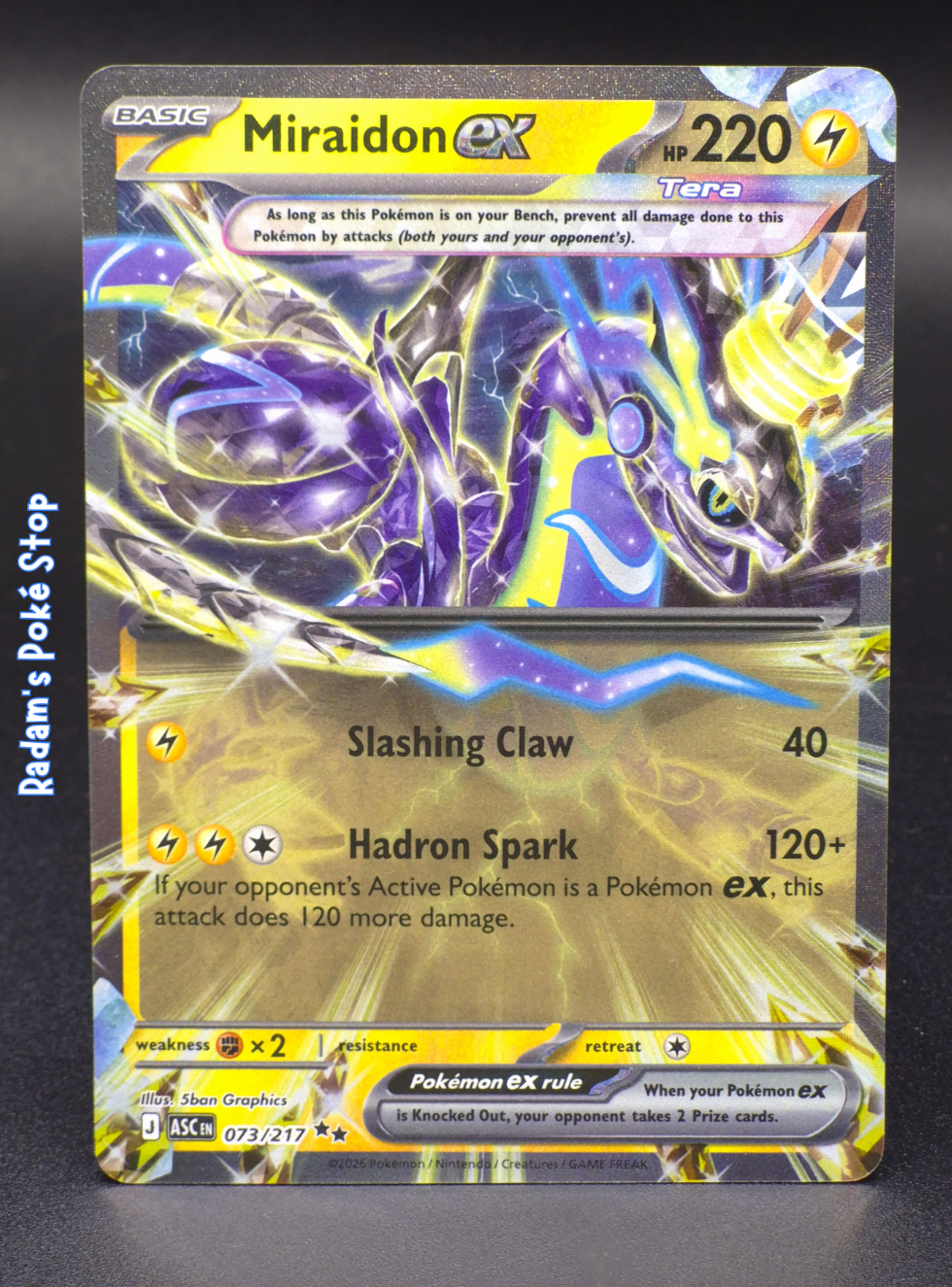 asc miraidon ex 073_217.png