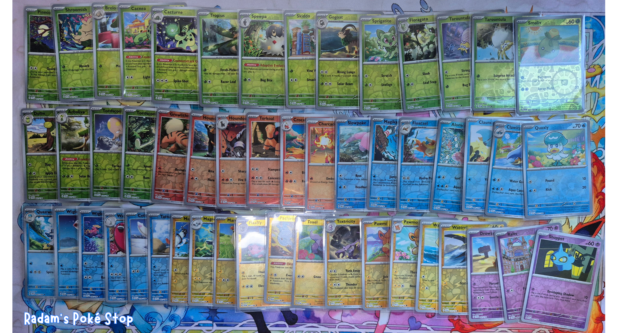 Scarlet Violet Base (8).png