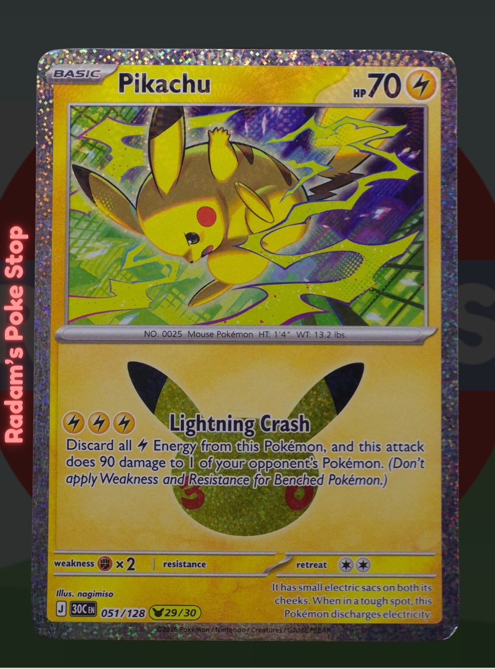 Pikachu 29_30 (2).png