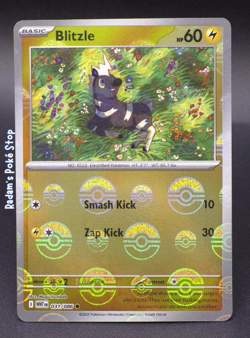 Blitzle #031 White Flare Poke Ball