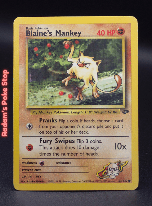 Blaine's Mankey #63 Gym Challenge