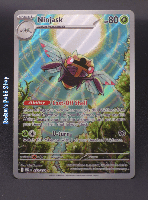 meg 137_132 ir ninjask.png