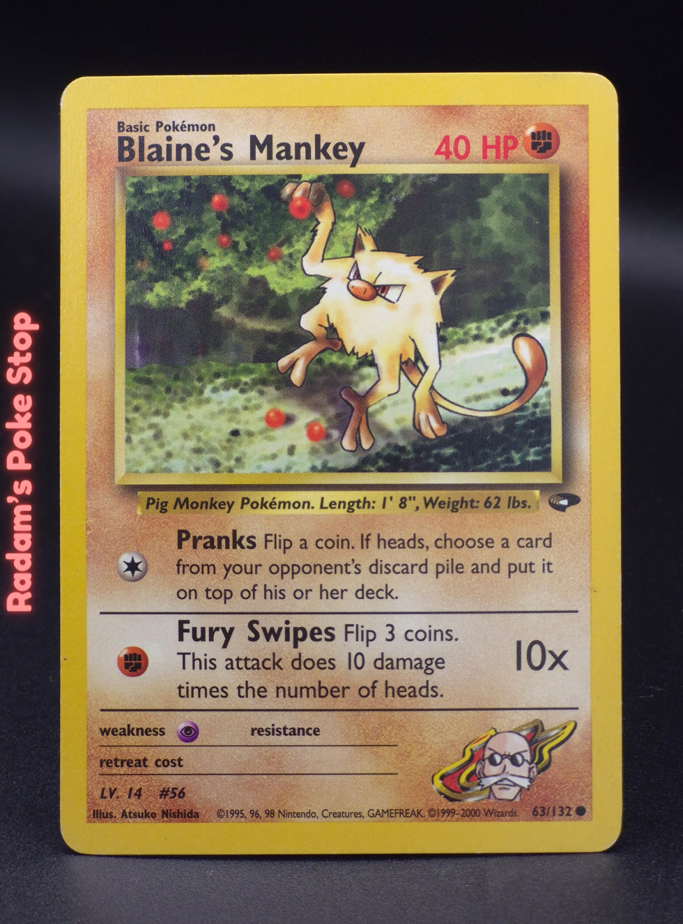 GC 63_132 blaine's mankey.png
