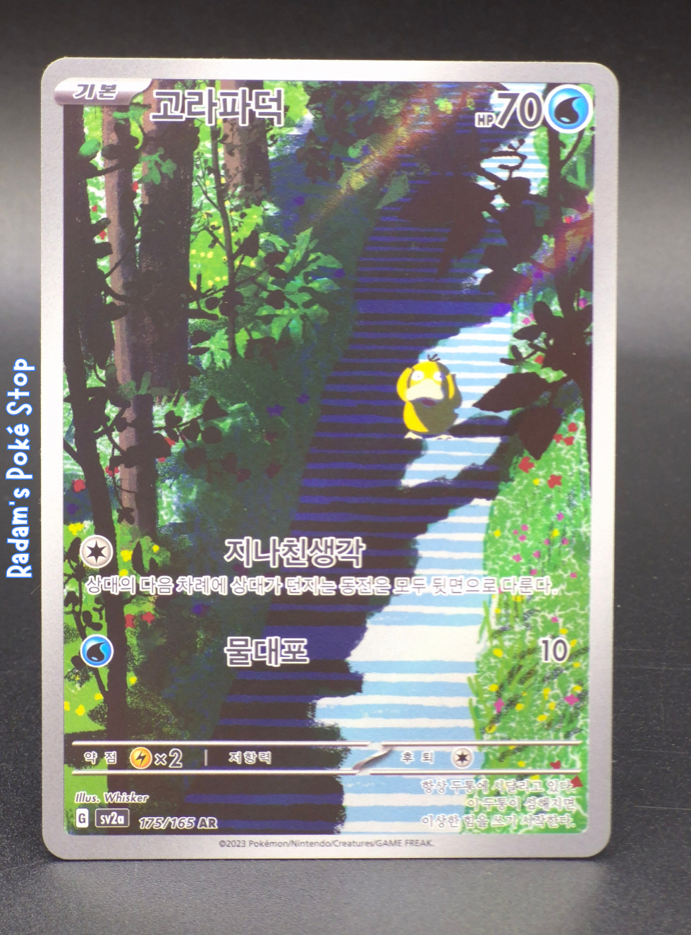 151 175_165 psyduck.png
