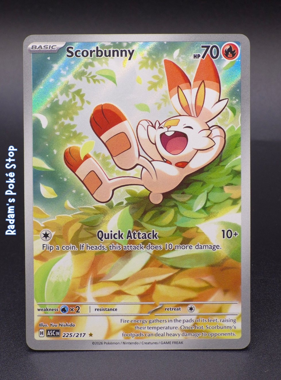 ASC 225_217 scorbunny.png