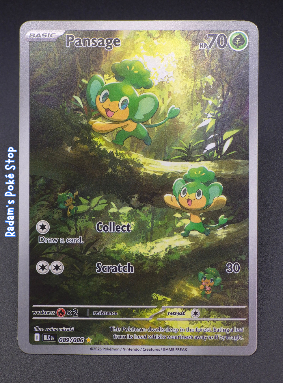 Pansage #089 IR Black Bolt