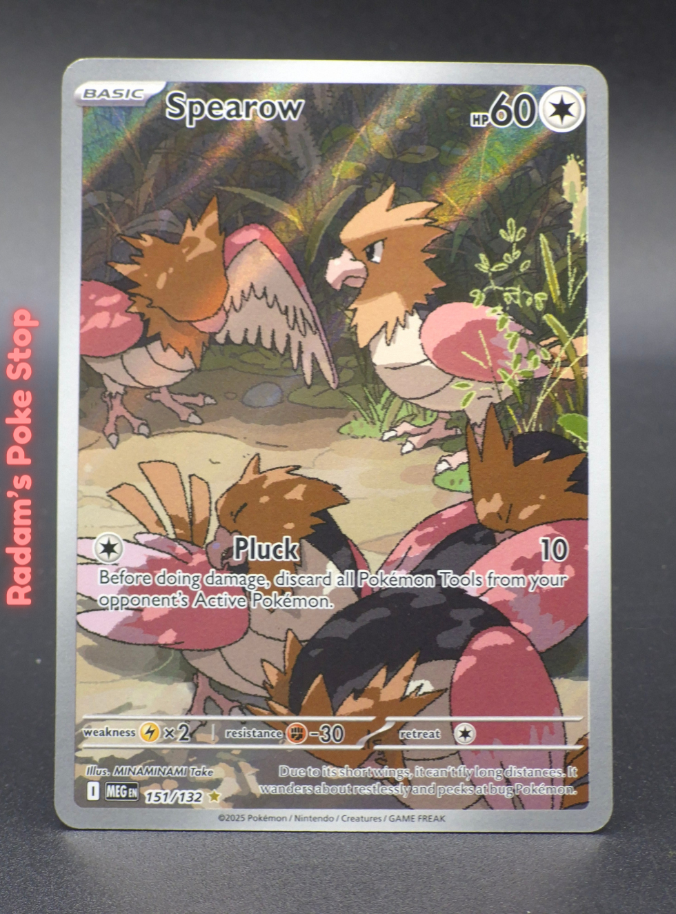 meg 151_132 spearow.png