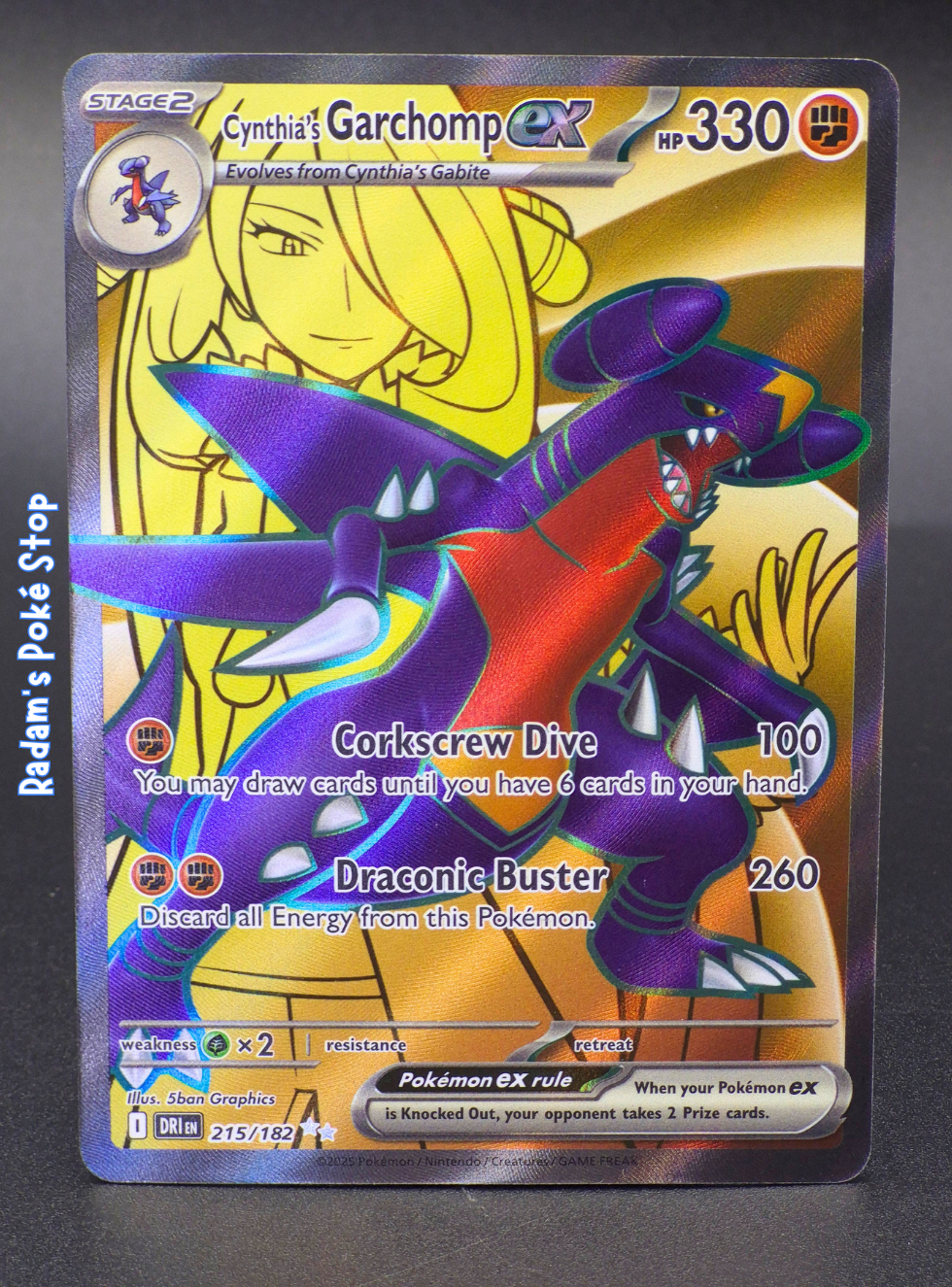 DRI 215_182 Cynthias garchomp ex.png