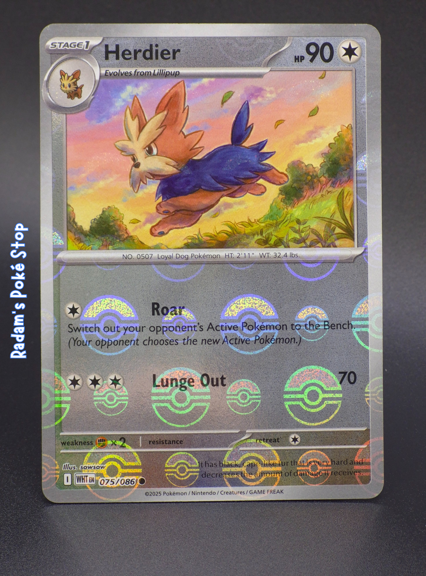 Herdier #75 White Flare Poke Ball