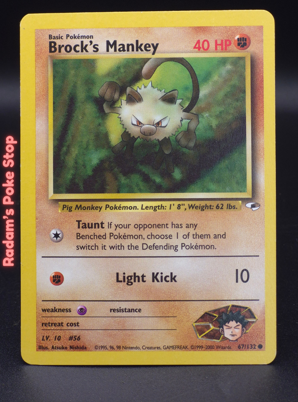 GH 67_132 brock's mankey (5).png
