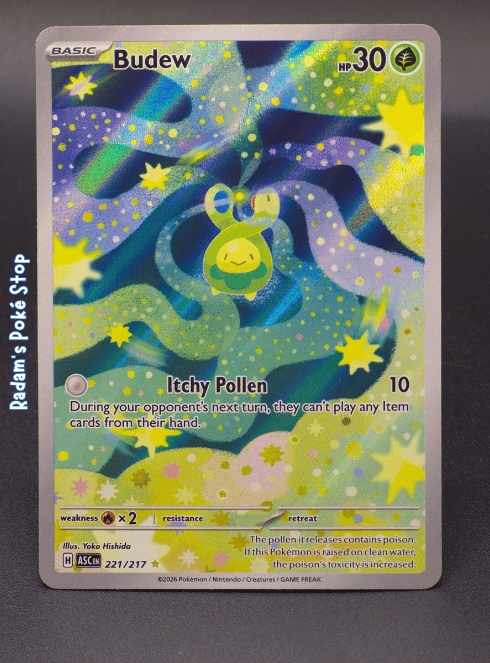 asc 221_217 ir budew.png