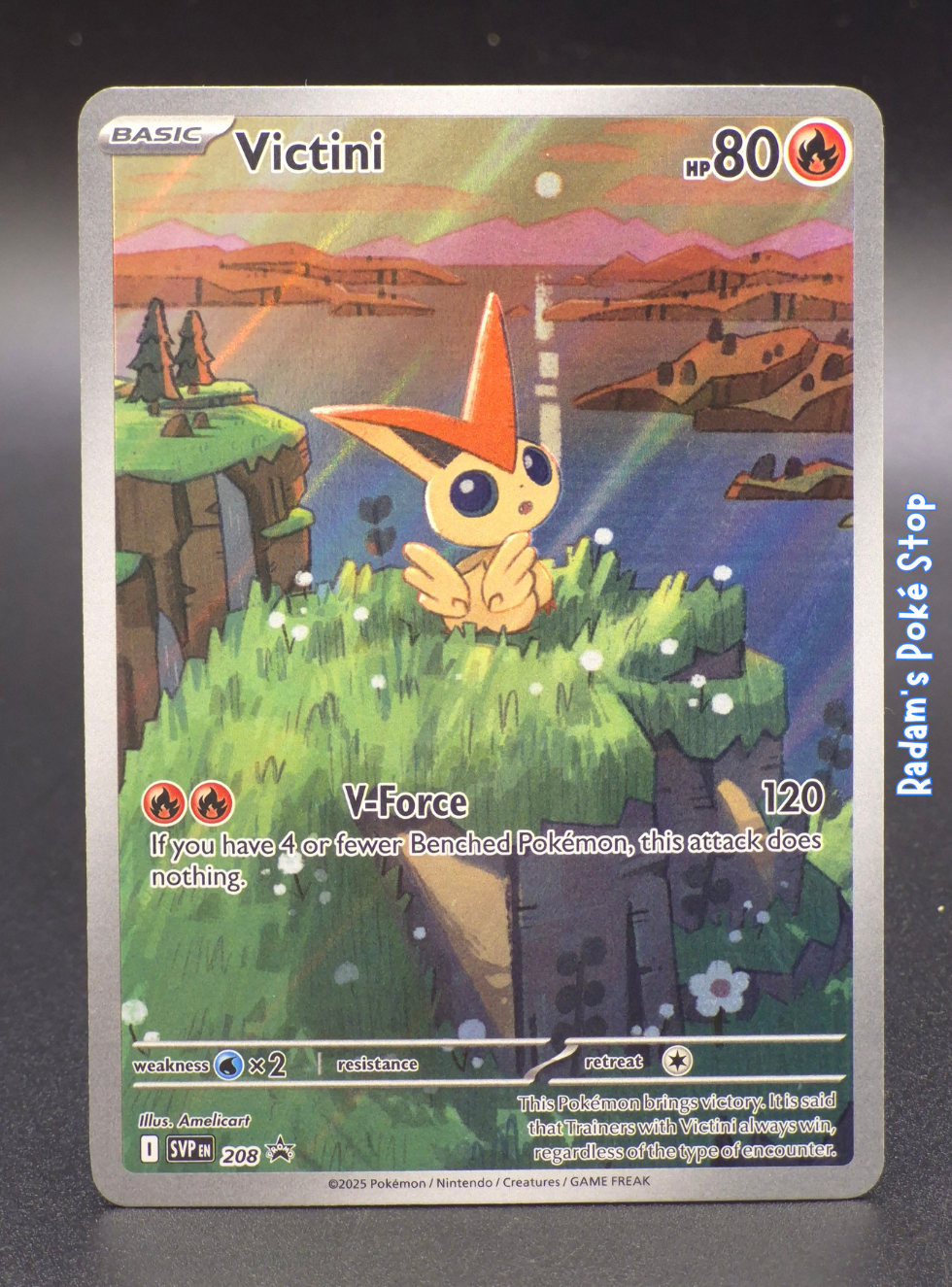 SVP 208 victini.png