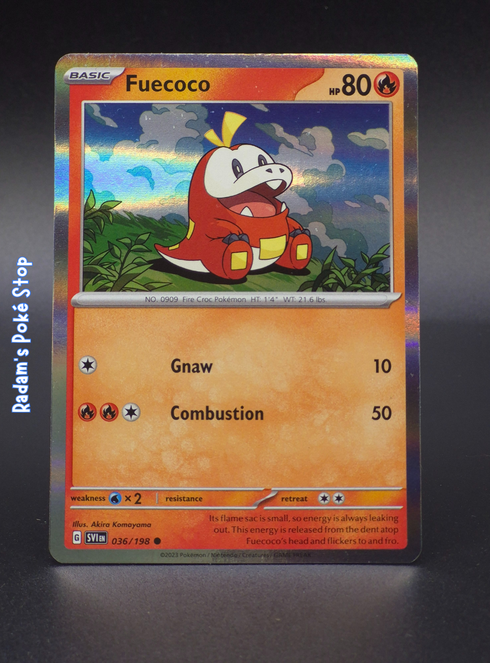 Fuecoco #36 Promo Holo