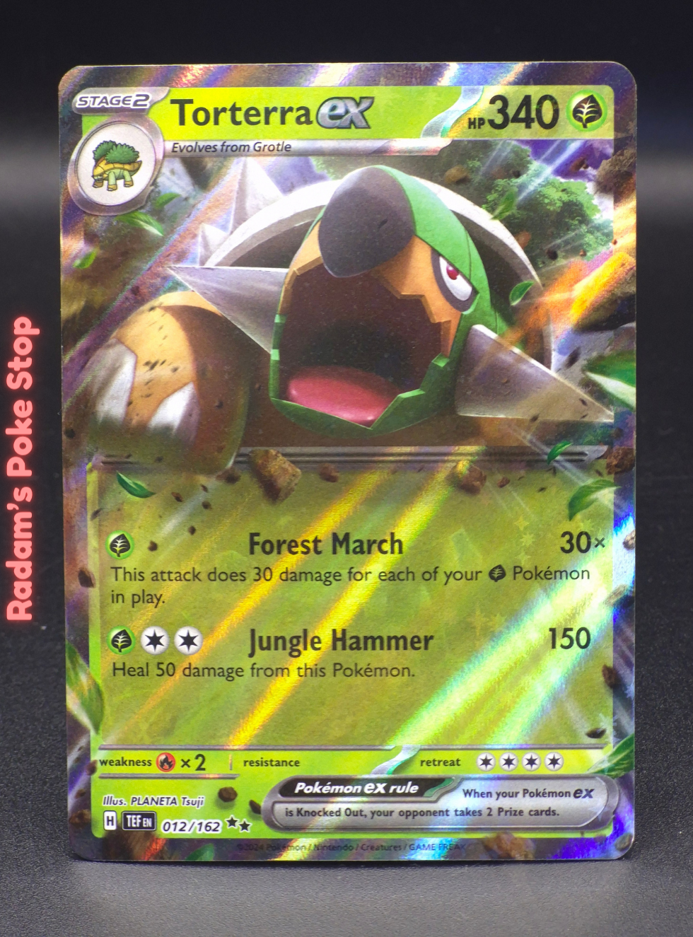 tef 012_162 torterra ex.png
