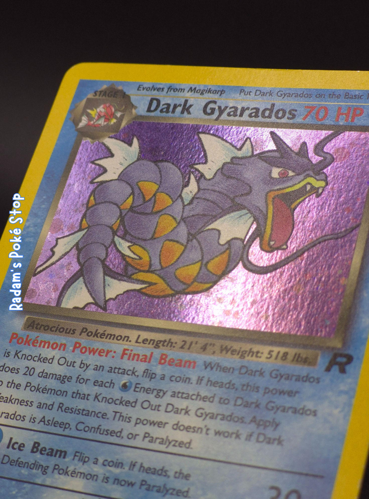 Team Rocket Dark Gyarados close.png