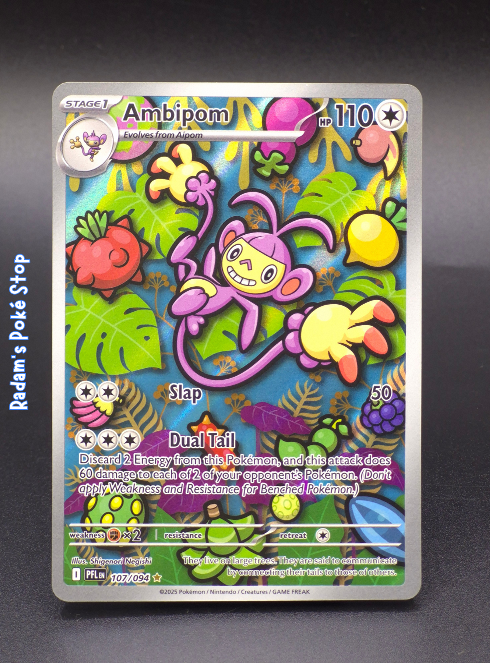PFL 102_094 ambipom (3).png