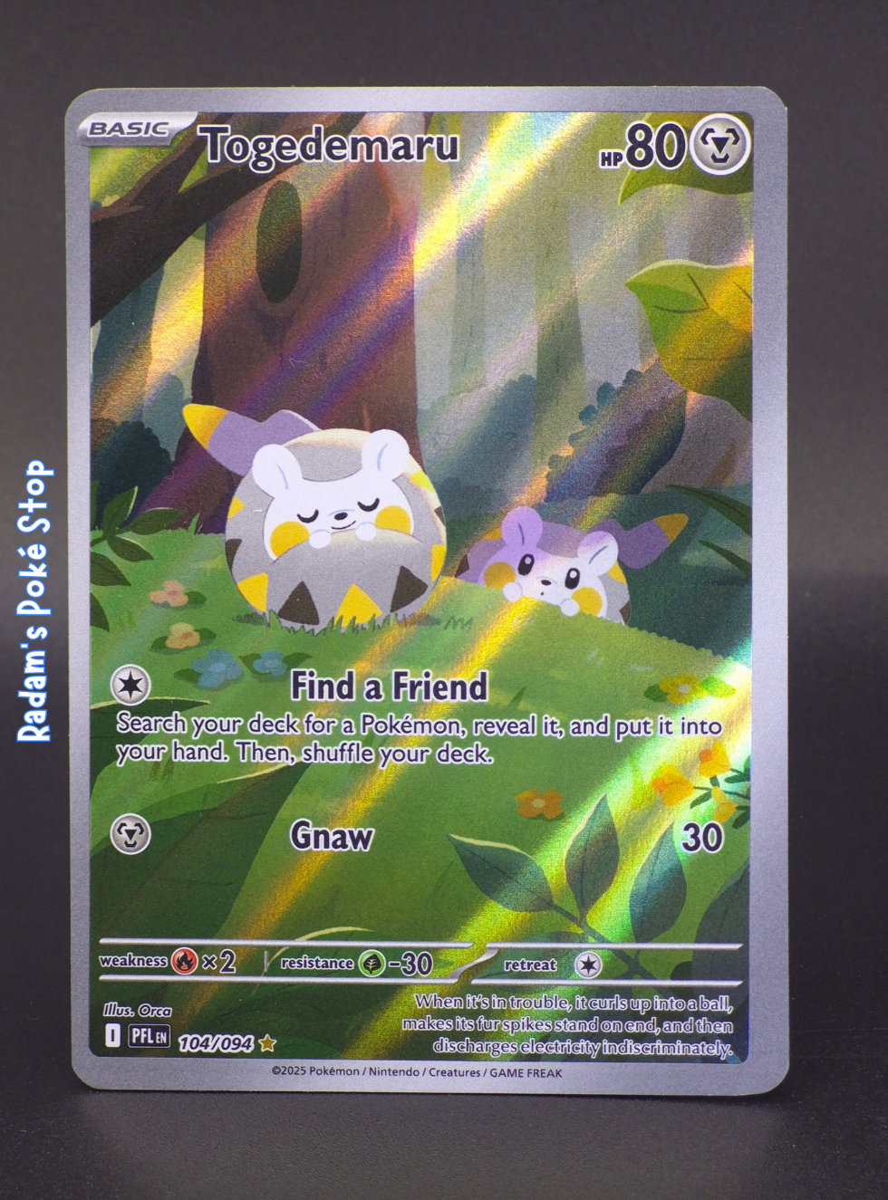 Togedemaru #104 Phantasmal Flames IR