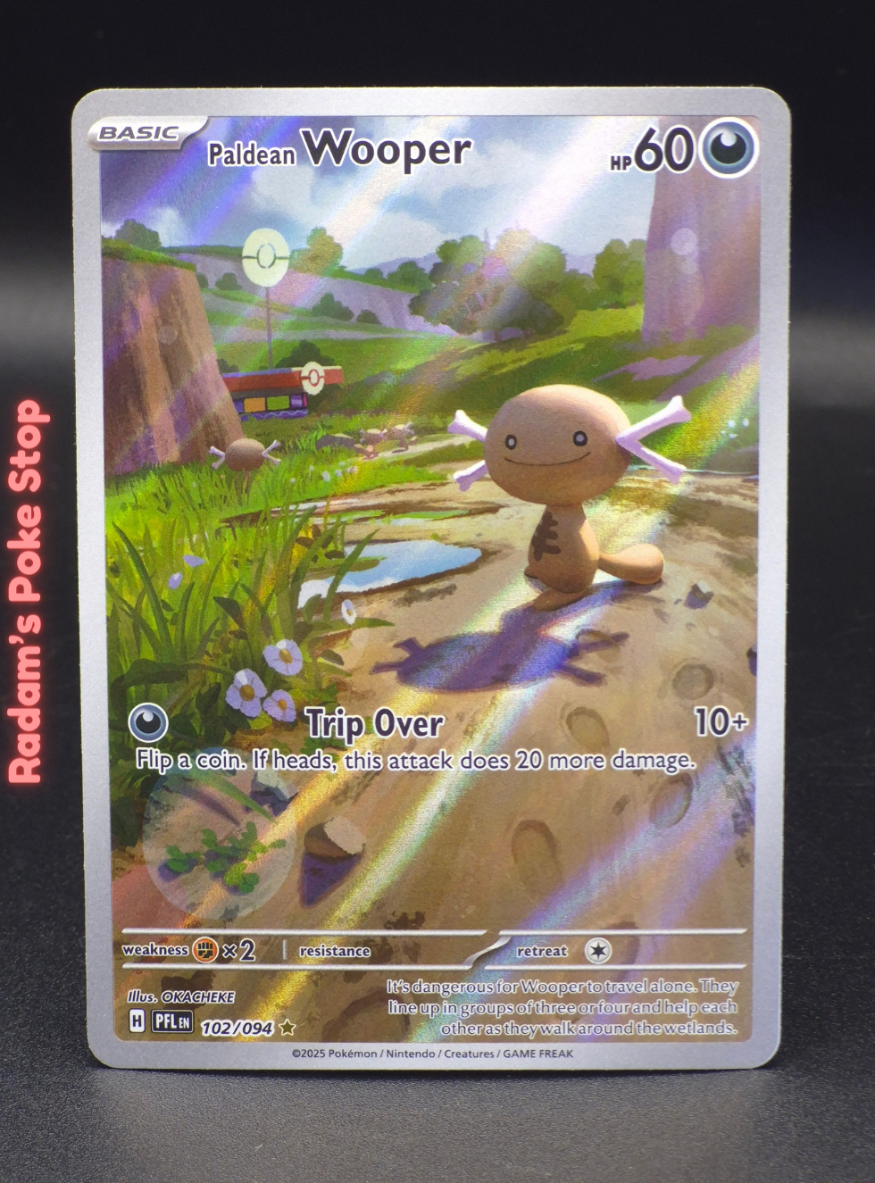 IR pfl 102_094 paldean wooper.png