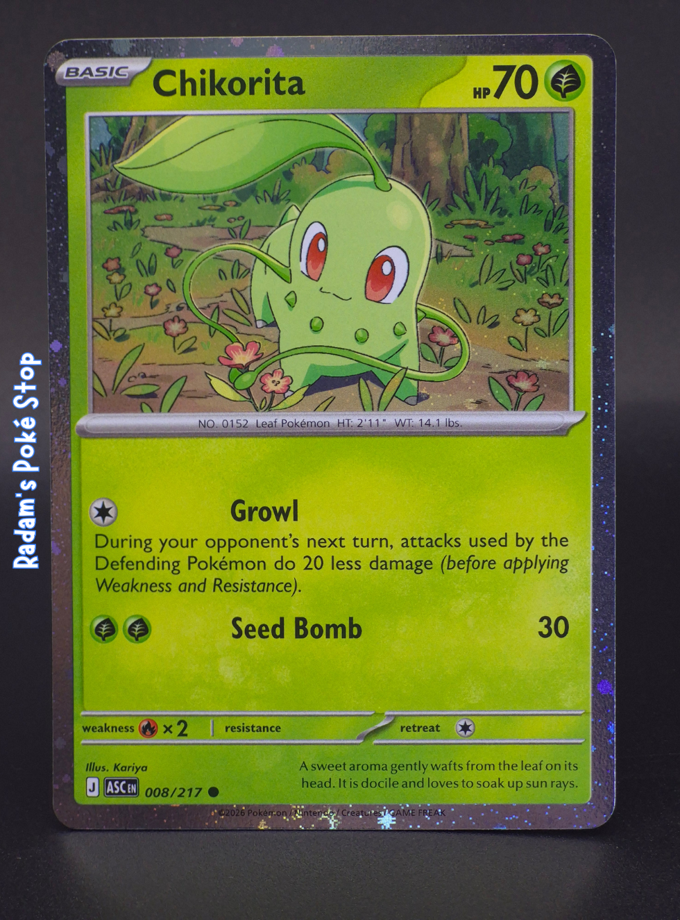 Promo 008_217 Chikorita.png
