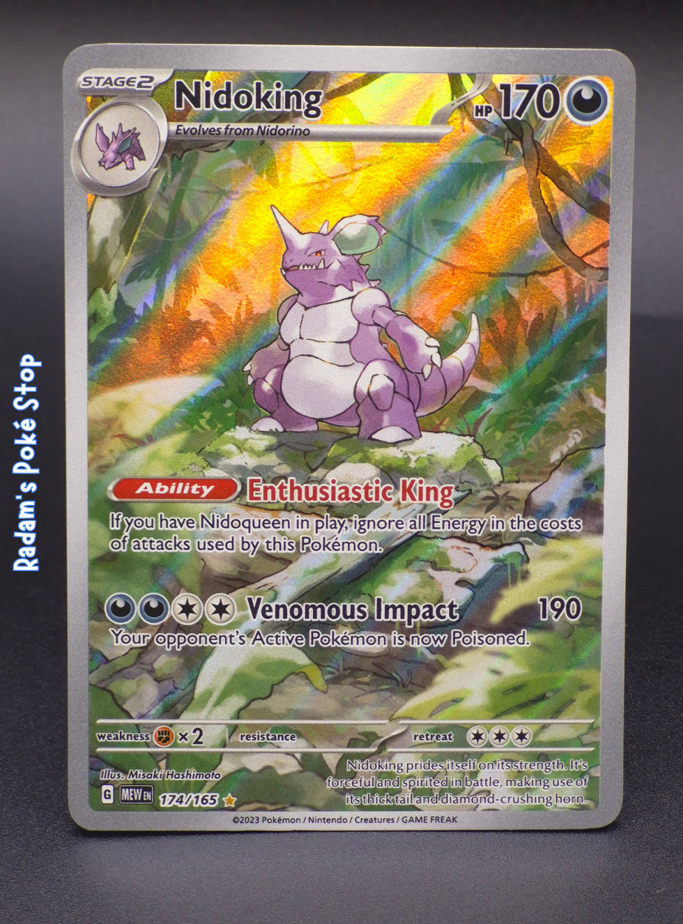 151 174_165 nidoking.png