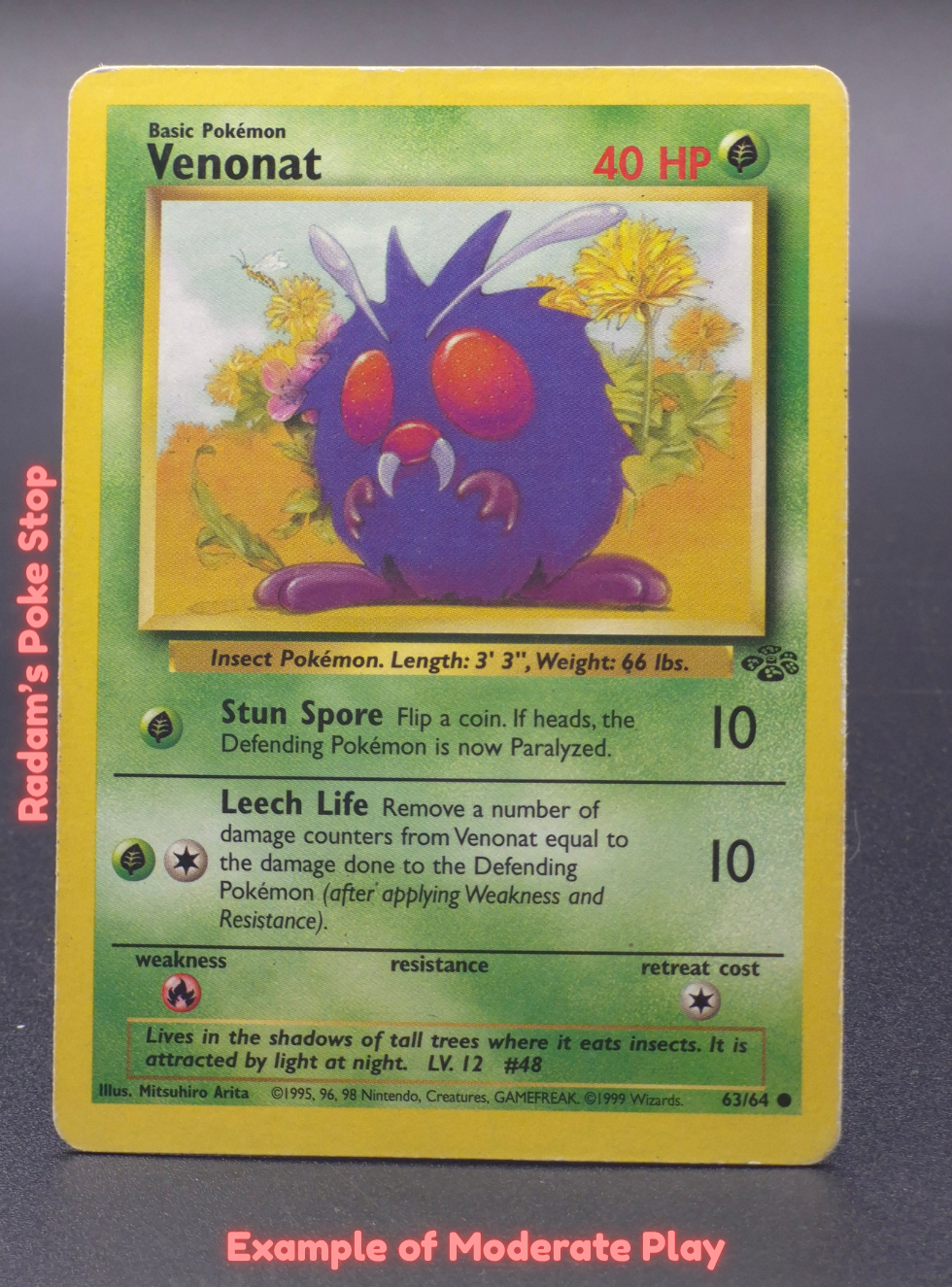 MP Venonat.png
