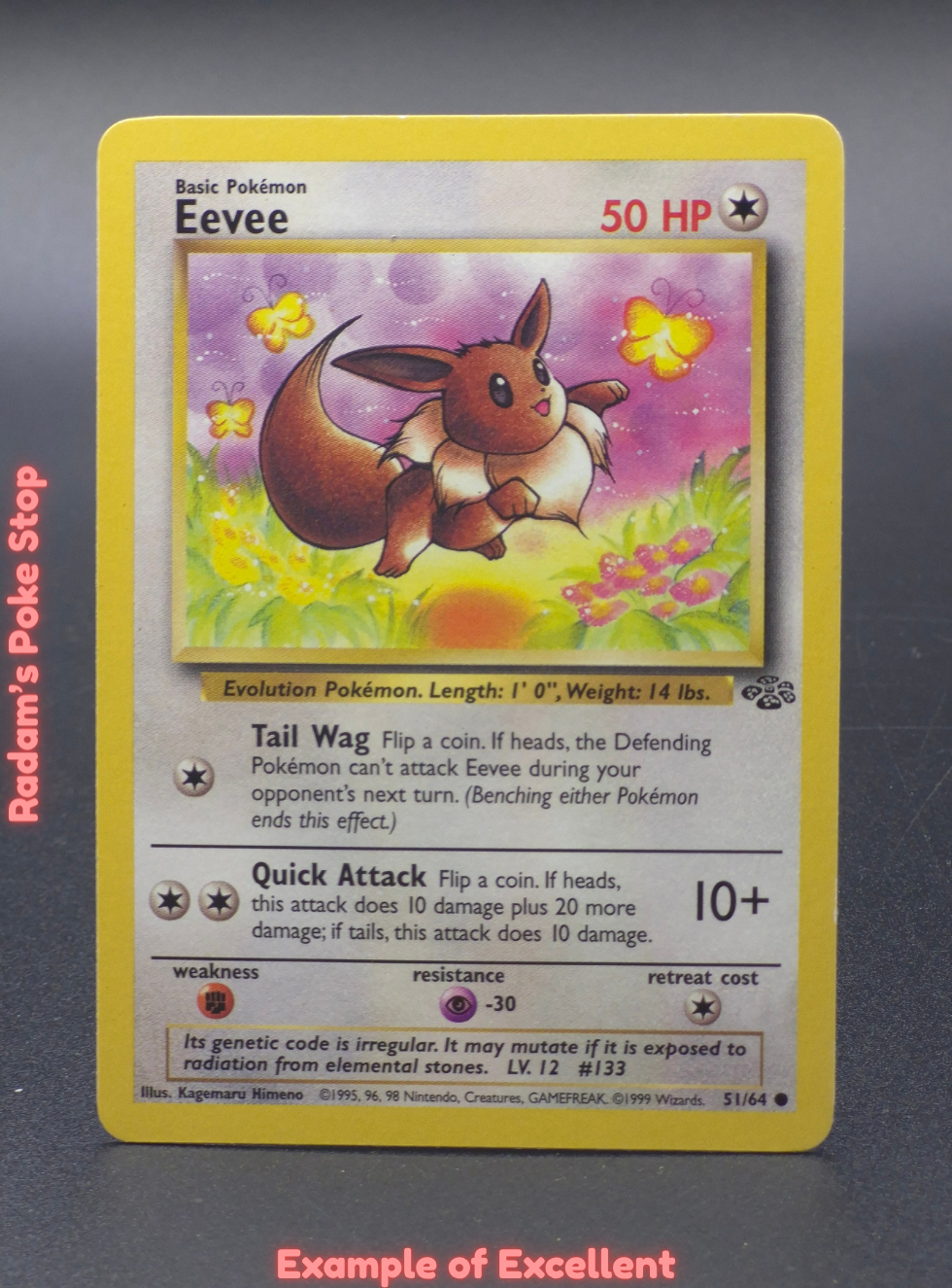EX Eevee.png