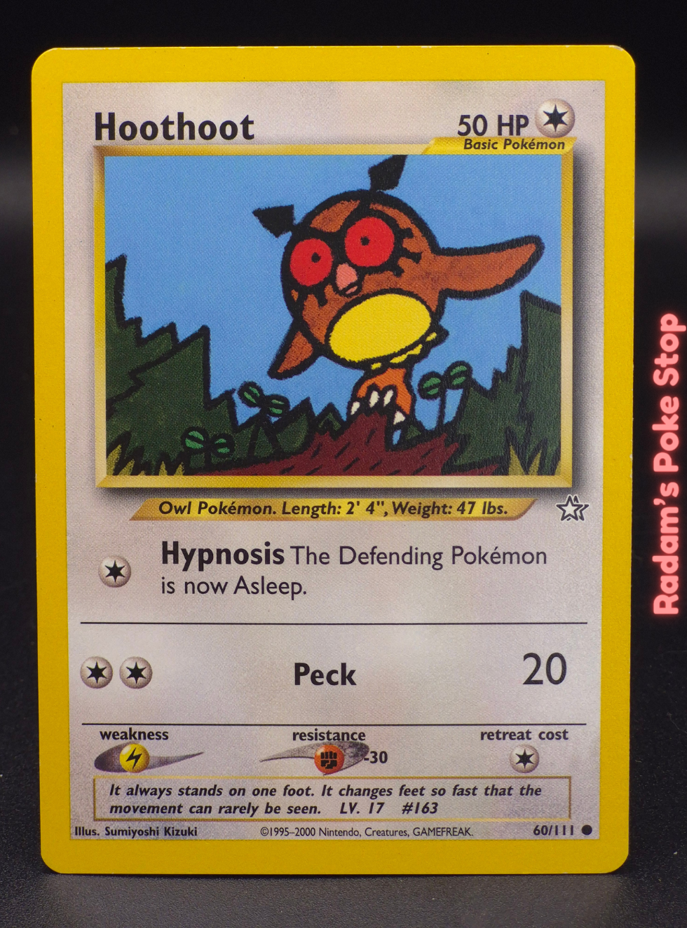 neo g 60_111 hoothoot (3).png