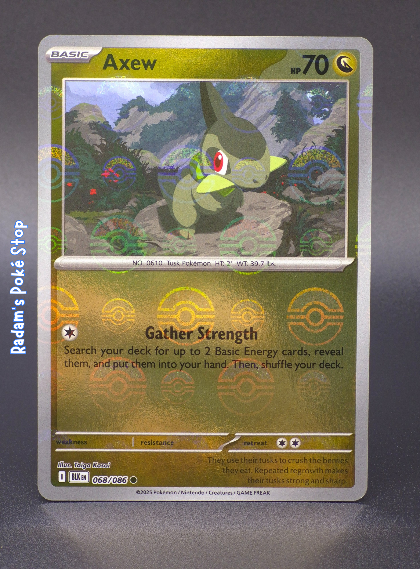 Axew #68 Black Bolt Poké Ball