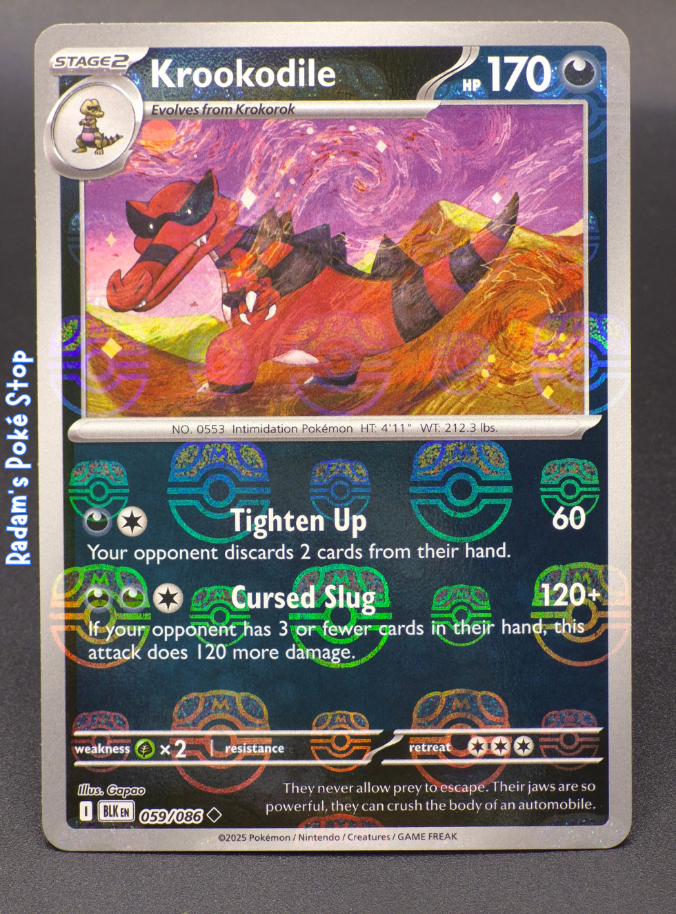 BLK 059_086 Master Ball Krookodile.png