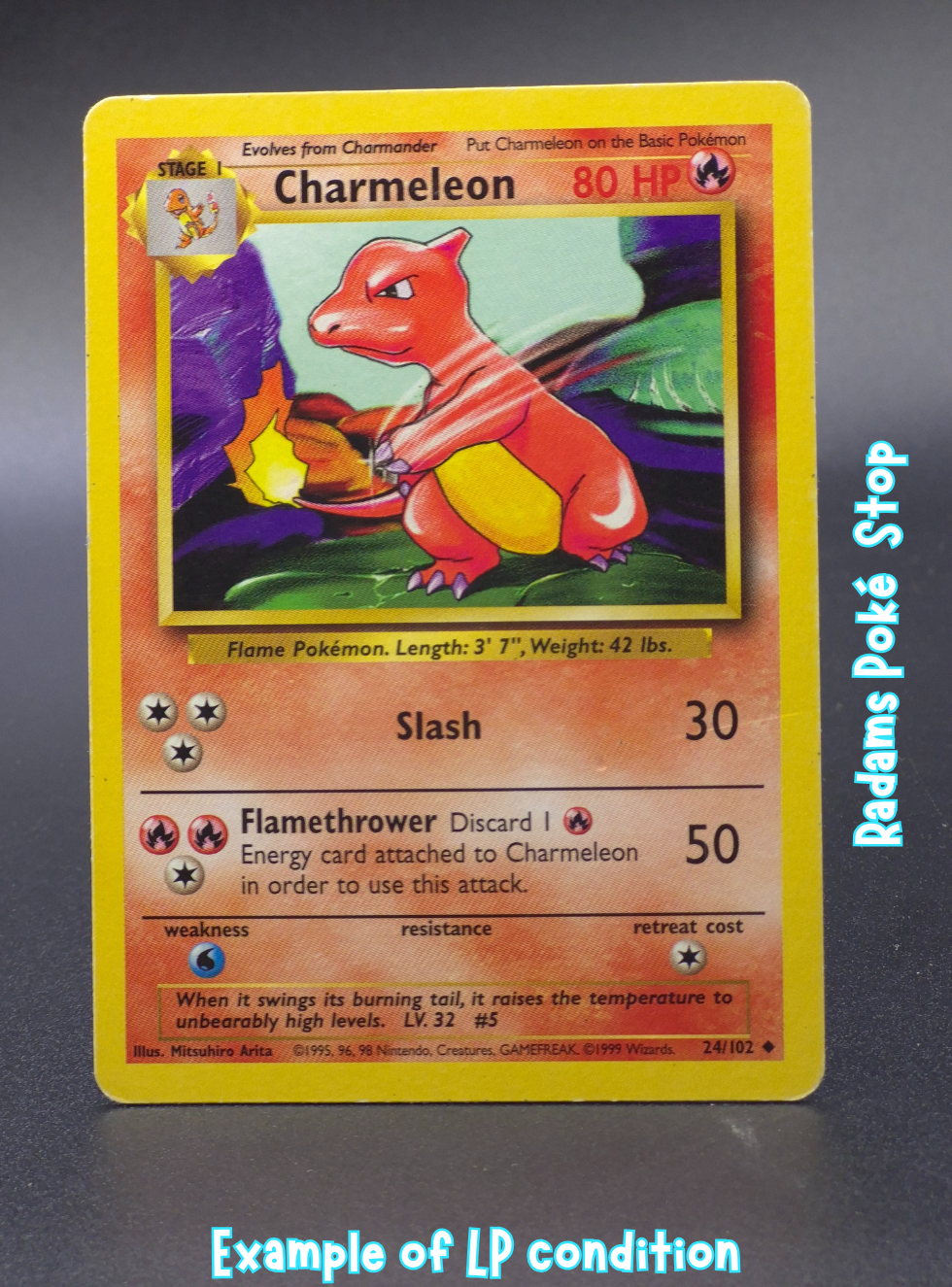 Base LP Charmeleon 24_102.png