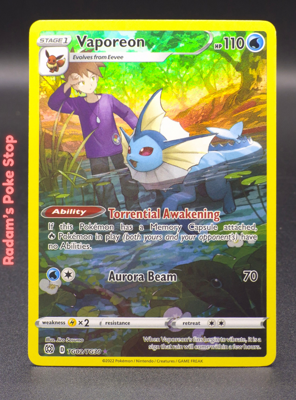 BRS tg02_tg30 vaporeon.png