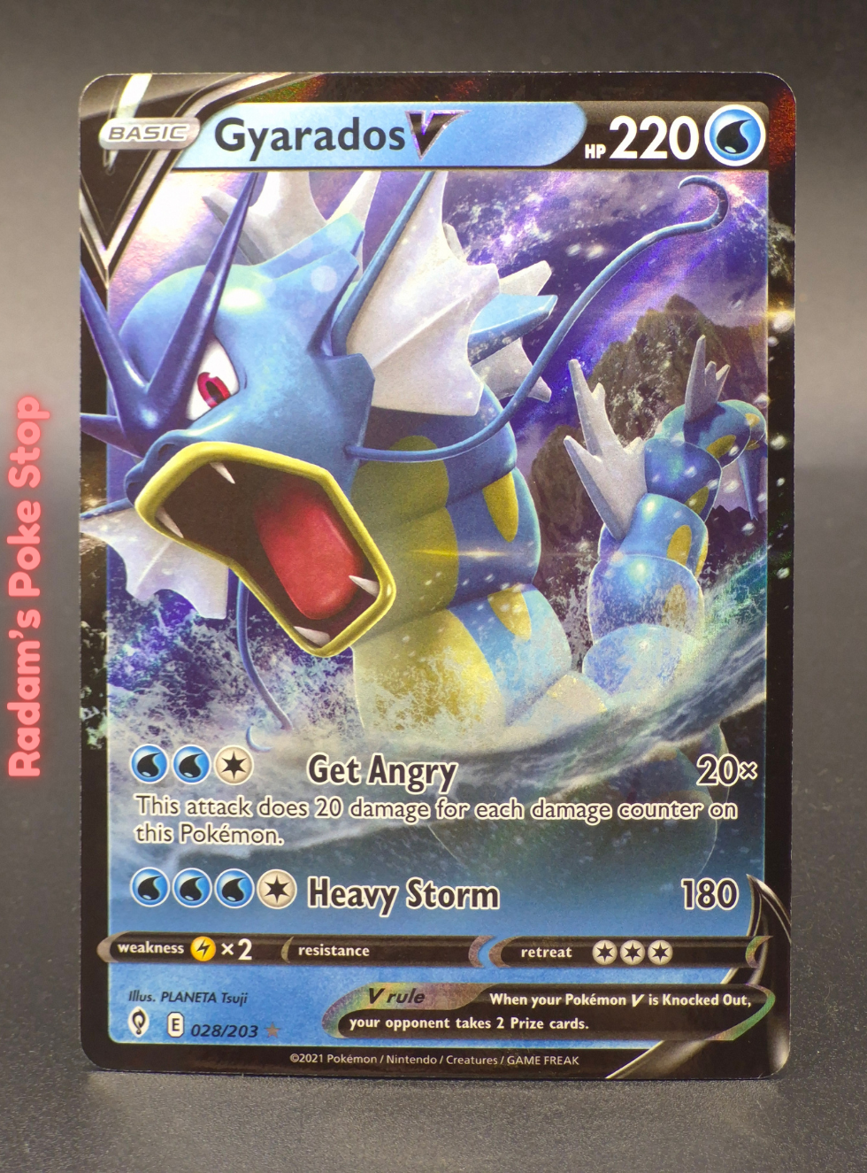 EVS 028_203 Gyarados V.png
