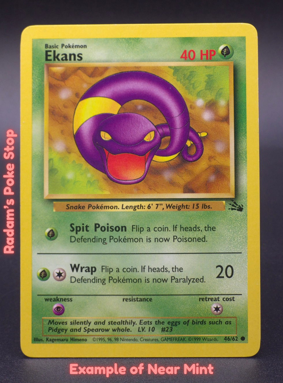 NM Ekans.png